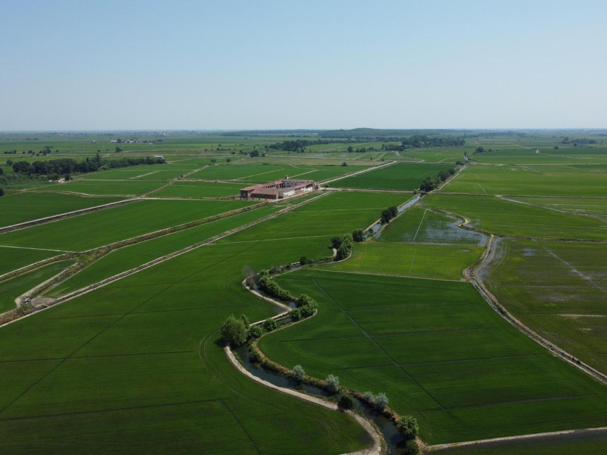 Tenuta Favorita Country House B&B Fontanetto Po Kültér fotó